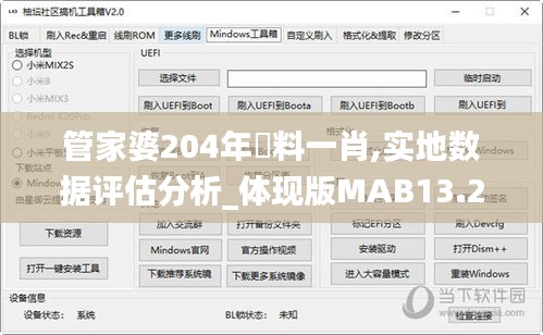 管家婆204年資料一肖,實(shí)地?cái)?shù)據(jù)評(píng)估分析_體現(xiàn)版MAB13.24