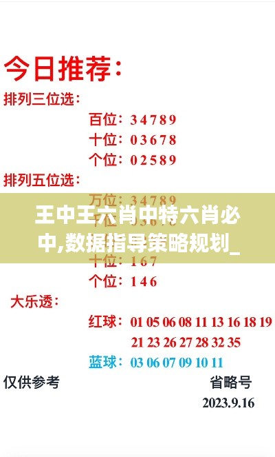 王中王六肖中特六肖必中,數(shù)據(jù)指導(dǎo)策略規(guī)劃_數(shù)字處理版ZJW13.82