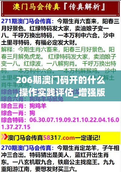 206期澳門碼開的什么,操作實(shí)踐評(píng)估_增強(qiáng)版YSV13.49