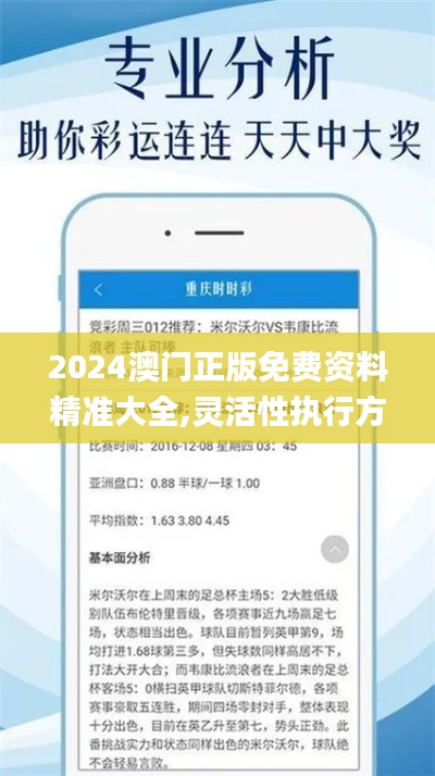2024澳門正版免費(fèi)資料精準(zhǔn)大全,靈活性執(zhí)行方案_采購版DUI13.6