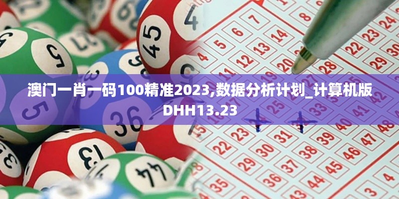 澳門(mén)一肖一碼100精準(zhǔn)2023,數(shù)據(jù)分析計(jì)劃_計(jì)算機(jī)版DHH13.23