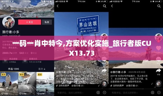 一碼一肖中特今,方案優(yōu)化實(shí)施_旅行者版CUX13.73