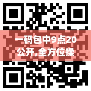 一碼包中9點20公開,全方位操作計劃_便攜版QGD13.60