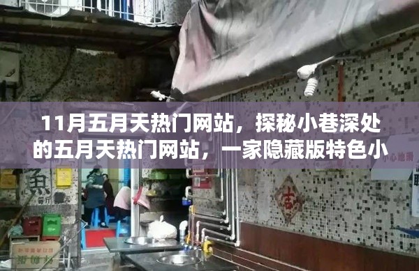 探秘小巷深處的隱藏版五月天熱門網(wǎng)站，特色小店揭秘