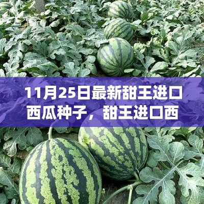 最新甜王進(jìn)口西瓜種子，感受成長之甜與變化之力