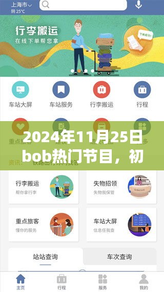 初學(xué)者與進(jìn)階用戶觀看指南，Bob熱門節(jié)目詳細(xì)步驟及精彩內(nèi)容回顧（2024年11月25日）