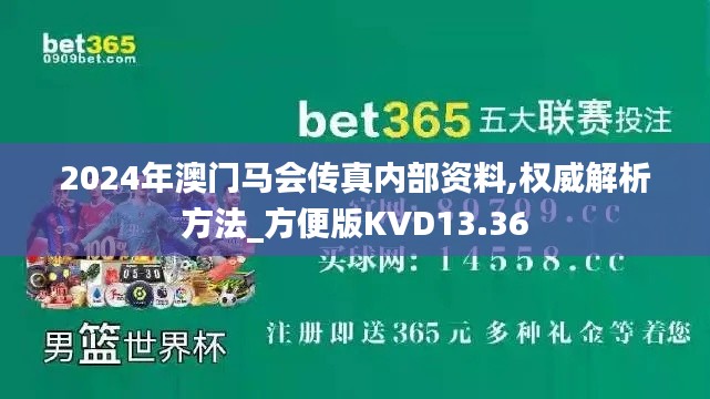 2024年澳門馬會傳真內(nèi)部資料,權(quán)威解析方法_方便版KVD13.36