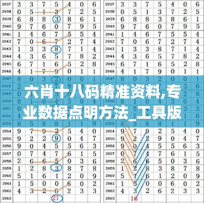 六肖十八碼精準(zhǔn)資料,專(zhuān)業(yè)數(shù)據(jù)點(diǎn)明方法_工具版GGT13.67