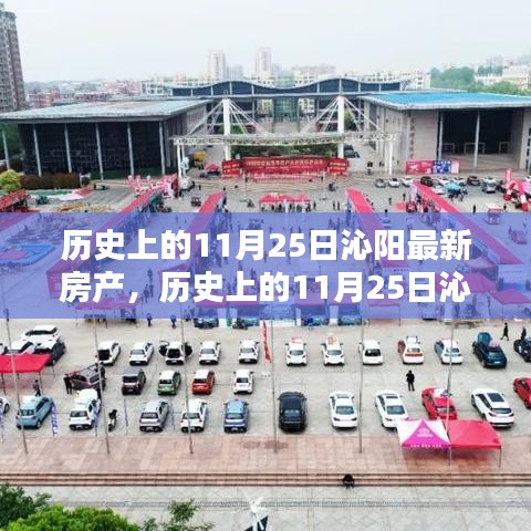 棲鳥于泉 第5頁