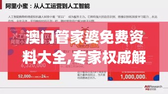 澳門管家婆免費(fèi)資料大全,專家權(quán)威解答_商務(wù)版FWB13.32