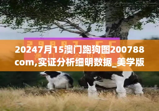 20247月15澳門跑狗圖200788com,實(shí)證分析細(xì)明數(shù)據(jù)_美學(xué)版KCH13.73