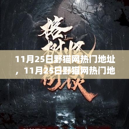 揭秘野貓網(wǎng)熱門地址背后的故事，背景、事件、影響與時代地位解析
