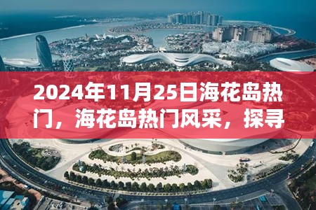 探尋?；◢u的獨(dú)特魅力，2024年11月25日的熱門風(fēng)采展示