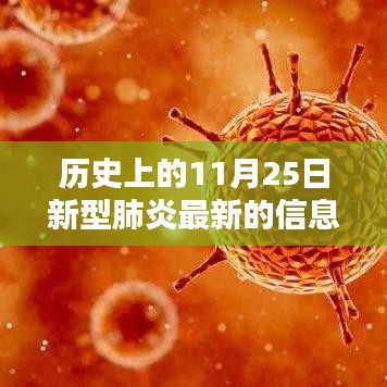 歷史上的11月25日，新型肺炎最新信息深度解析與回顧