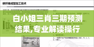 白小姐三肖三期預測結(jié)果,專業(yè)解讀操行解決_輕量版TYK13.8