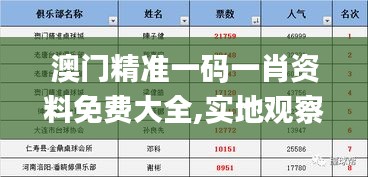 澳門精準一碼一肖資料免費大全,實地觀察解釋定義_樂享版MJC13.37