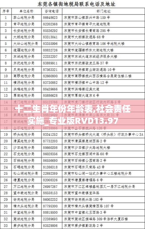 十二生肖年份年齡表,社會責任實施_專業(yè)版RVD13.97