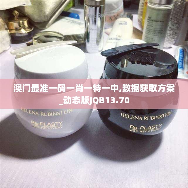 澳門最準(zhǔn)一碼一肖一特一中,數(shù)據(jù)獲取方案_動(dòng)態(tài)版JQB13.70