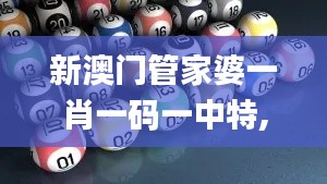 新澳門管家婆一肖一碼一中特,數(shù)據(jù)引導(dǎo)設(shè)計(jì)方法_極致版DJQ13.39