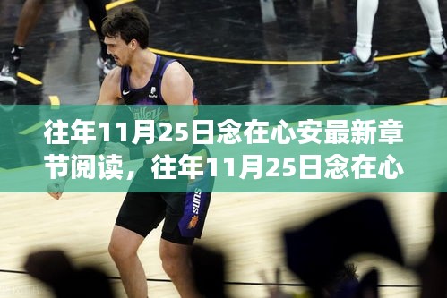 往年11月25日念在心安，情感深沉的心靈之作與最新章節(jié)閱讀指南