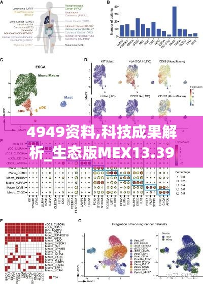 4949資料,科技成果解析_生態(tài)版MEX13.39