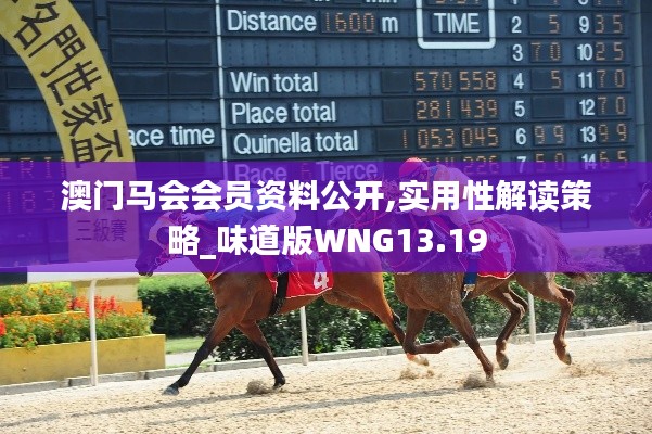 澳門馬會(huì)會(huì)員資料公開,實(shí)用性解讀策略_味道版WNG13.19