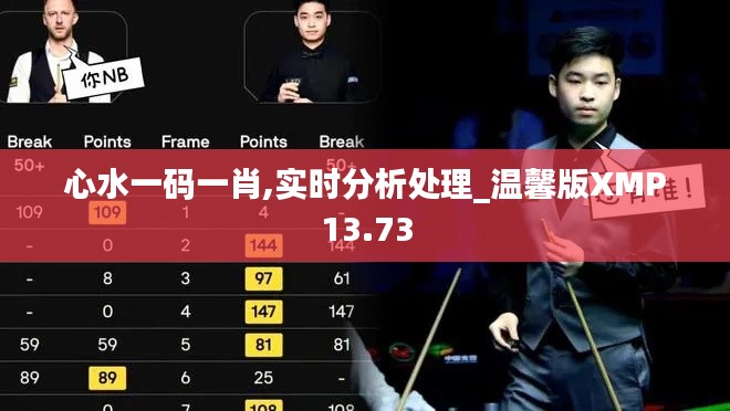 心水一碼一肖,實時分析處理_溫馨版XMP13.73