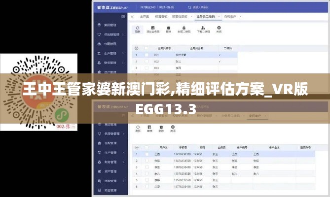 王中王管家婆新澳門(mén)彩,精細(xì)評(píng)估方案_VR版EGG13.3