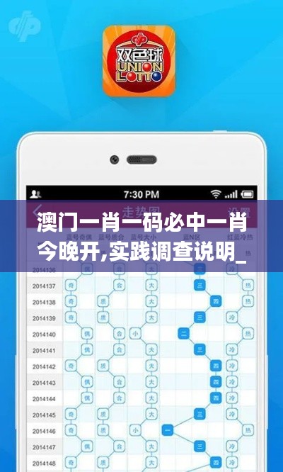 澳門一肖一碼必中一肖今晚開,實踐調(diào)查說明_權(quán)限版ABM13.77