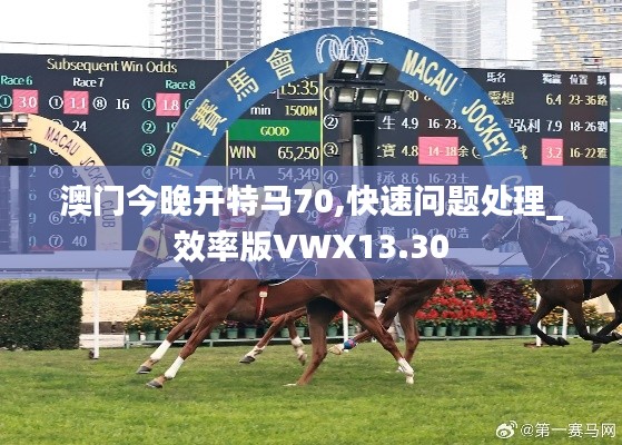 澳門今晚開特馬70,快速問題處理_效率版VWX13.30