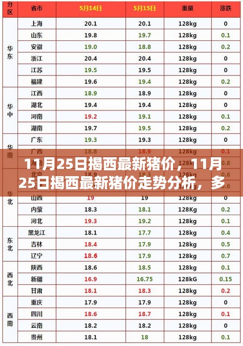 11月25日揭西最新豬價(jià)走勢(shì)分析，多方觀點(diǎn)與個(gè)人立場(chǎng)碰撞