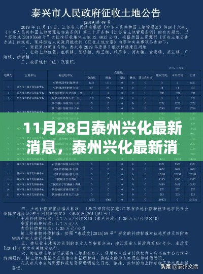 泰州興化最新消息匯總，聚焦要點解析（11月28日更新版）
