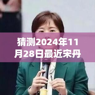 宋丹丹新劇預(yù)測(cè)指南，揭秘2024年11月28日最新電視劇猜測(cè)與期待！