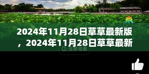 2024年11月28日草草最新版產(chǎn)品評(píng)測與詳細(xì)介紹