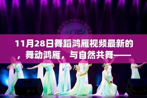 舞動(dòng)鴻雁，與自然共舞的心靈之旅（最新11月28日舞蹈鴻雁視頻）