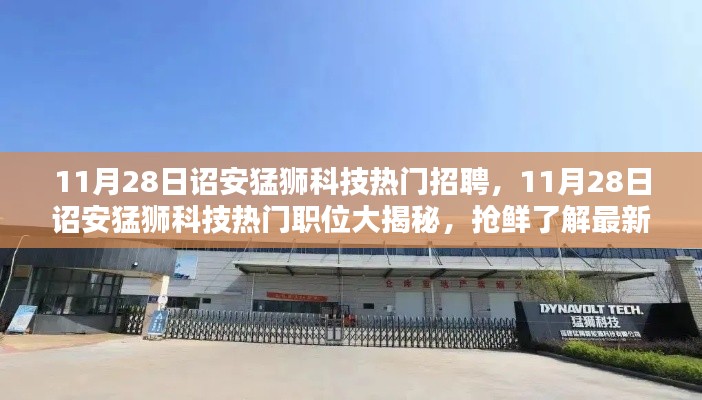 詔安猛獅科技最新招聘風(fēng)向揭秘，熱門(mén)職位搶鮮看