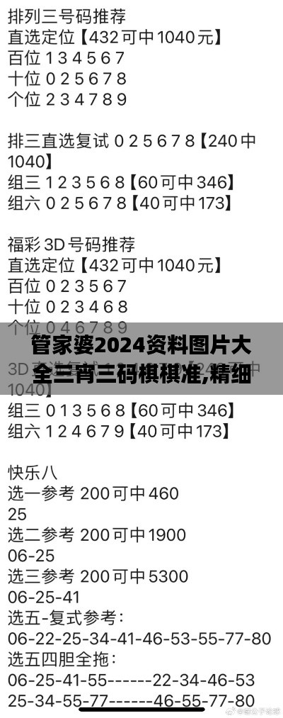 管家婆2024資料圖片大全三宵三碼棋棋準(zhǔn),精細(xì)評估方案_智巧版VYL13.59