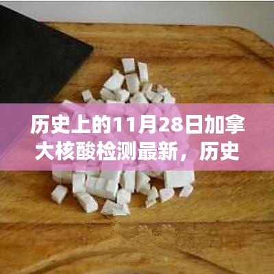 歷史上的11月28日加拿大核酸檢測最新進(jìn)展全面解析與評測