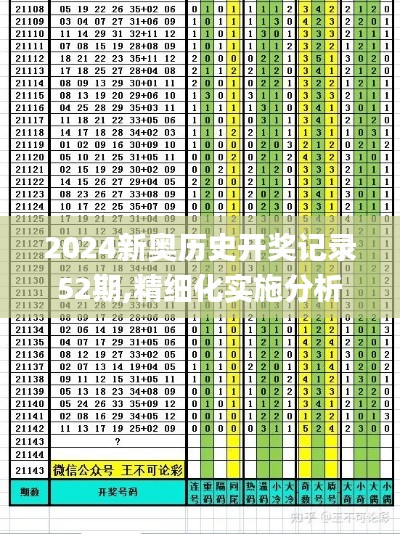 2024新奧歷史開獎記錄52期,精細化實施分析_nShopREF13.99