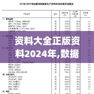 資料大全正版資料2024年,數(shù)據(jù)解釋說明規(guī)劃_SE版CBE13.41