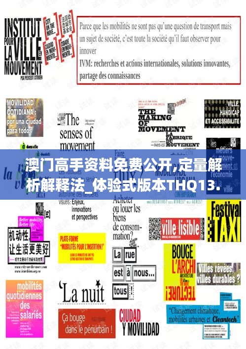 澳門高手資料免費公開,定量解析解釋法_體驗式版本THQ13.28