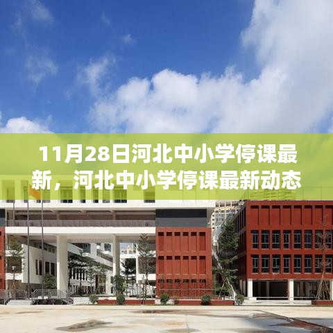 河北中小學停課最新動態(tài)，11月28日的深刻印記