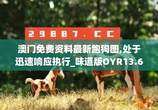 澳門免費(fèi)資料最新跑狗圖,處于迅速響應(yīng)執(zhí)行_味道版OYR13.64