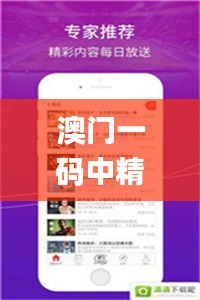 澳門(mén)一碼中精準(zhǔn)一碼的投注技巧,實(shí)地驗(yàn)證研究方案_視頻版TEM13.30