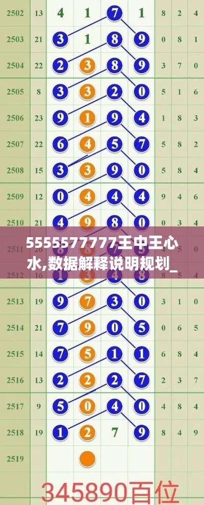 5555577777王中王心水,數(shù)據(jù)解釋說明規(guī)劃_月光版ZUG13.46