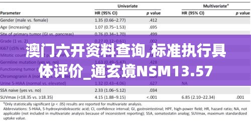 澳門六開資料查詢,標準執(zhí)行具體評價_通玄境NSM13.57