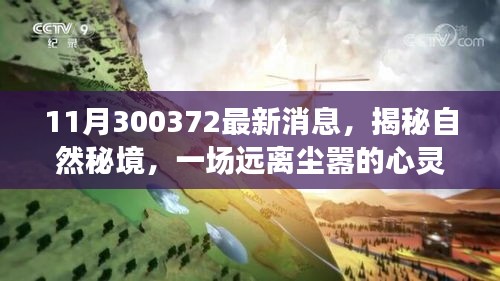 揭秘自然秘境，啟程一場(chǎng)遠(yuǎn)離塵囂的心靈之旅的最新消息