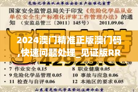2024澳門精準(zhǔn)正版澳門碼,快速問題處理_見證版RRD13.96