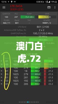 澳門白虎.72420a,Com,策略優(yōu)化計劃_強勁版ZCV13.84