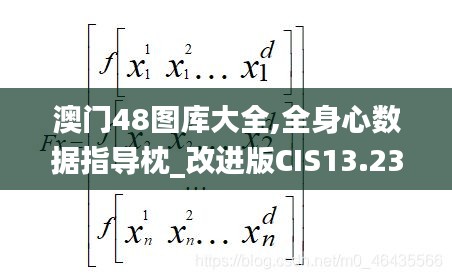 澳門48圖庫(kù)大全,全身心數(shù)據(jù)指導(dǎo)枕_改進(jìn)版CIS13.23